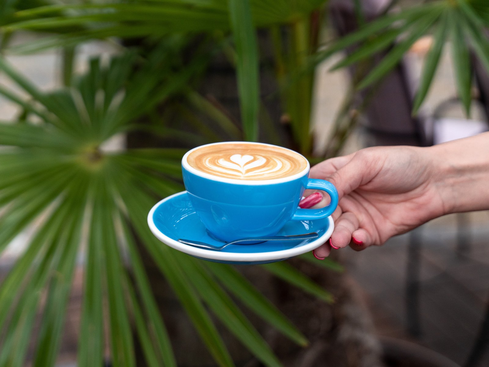 Lima Bistro Galerija